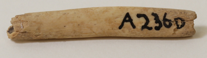 bone bead a236d