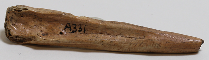 awl object a331
