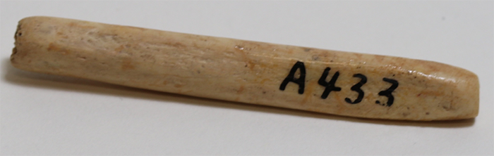 bone bead a433