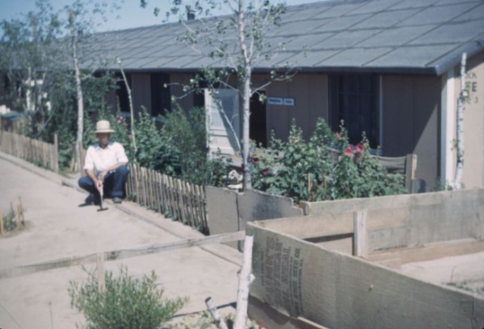 amache obsidian garden