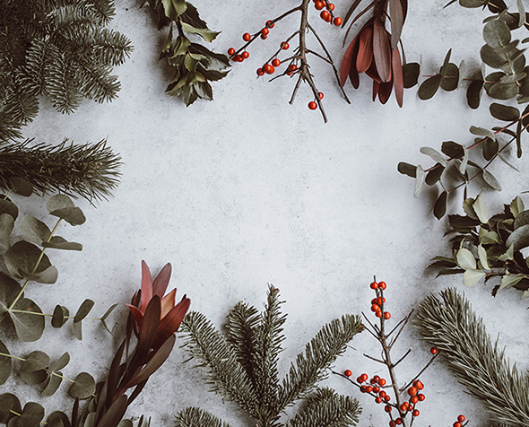 Q & A Holiday Family Dynamics