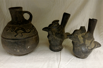 campa collection thumbnail