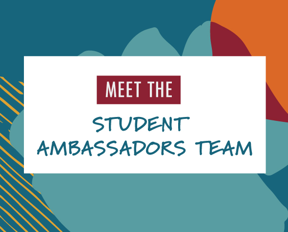 Meet the team graphic