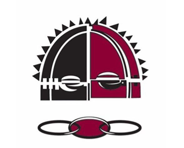 TSP logo