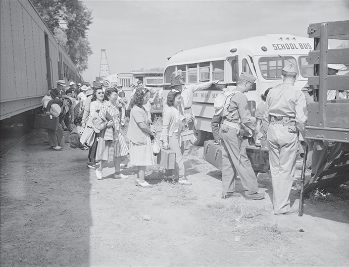 bus
