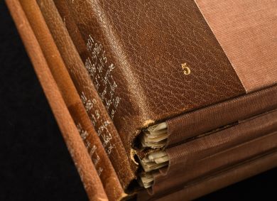 the spines and partial front covers of four leather-bound books