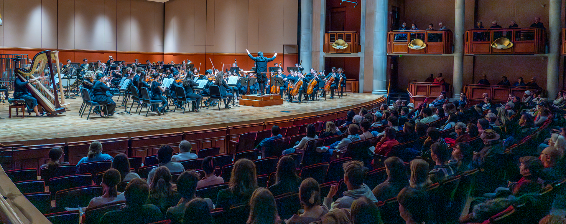 LSO