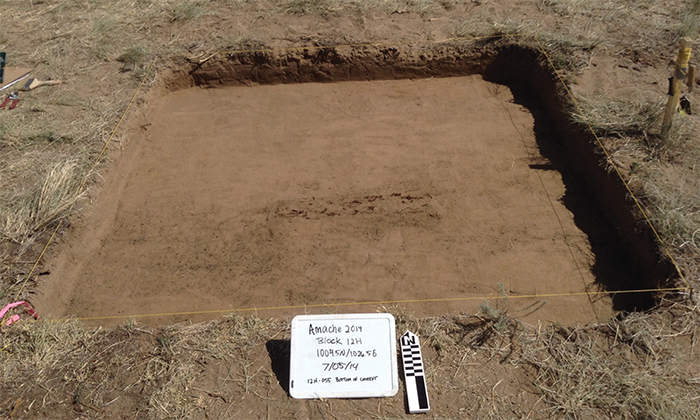 baseball excavation