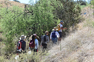 Students Crossing the Border