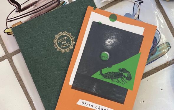 Birth Chart book cover