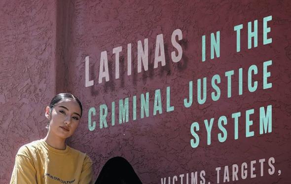 Latinas in the Criminal System book cover