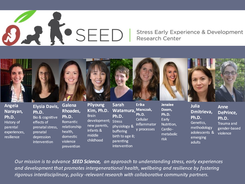Faculty members at the SEED Research Center