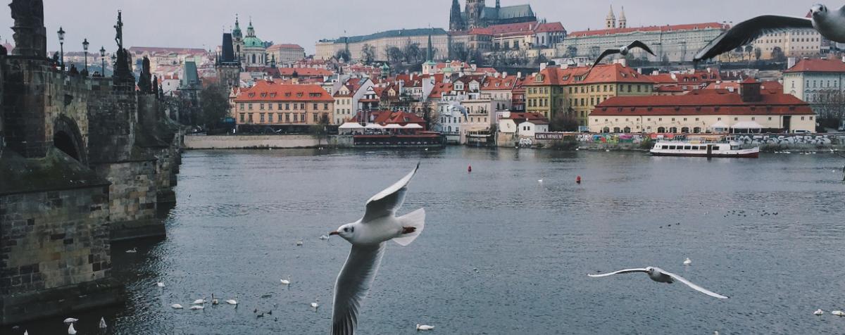 scenic image of harbor
