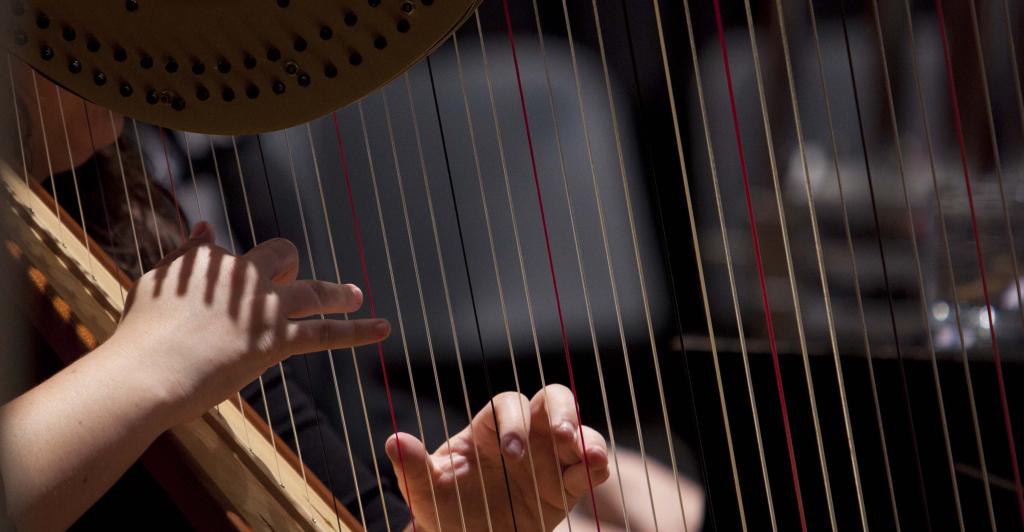 Harp student