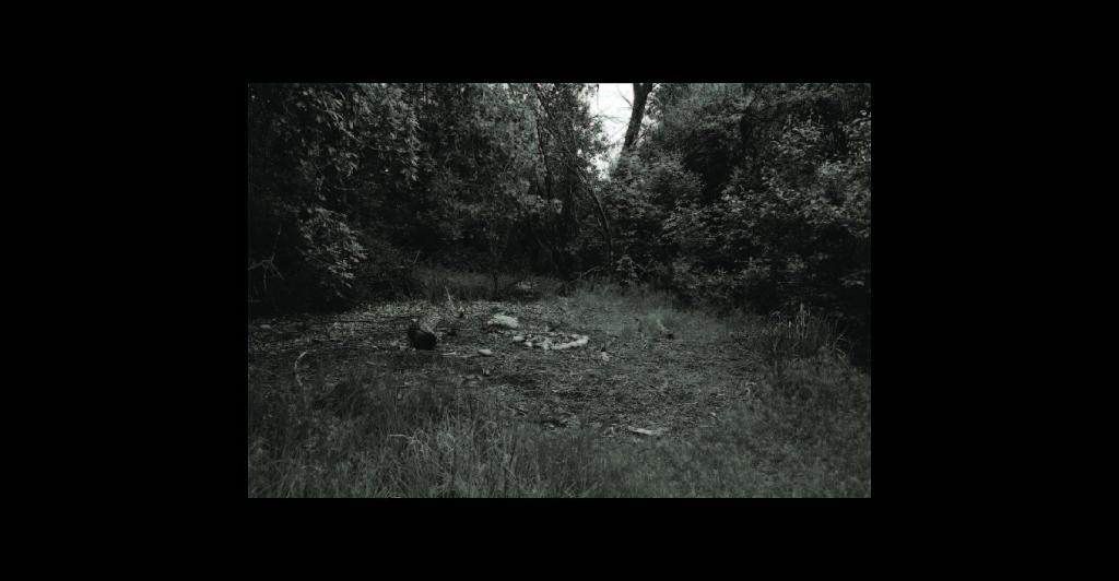 image of camp