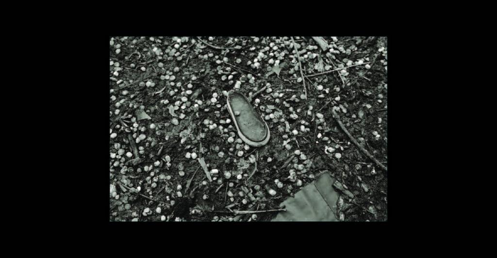 Shoe on ground