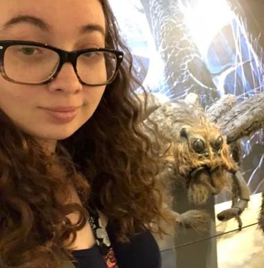 Destiny at paramount pictures with a spider