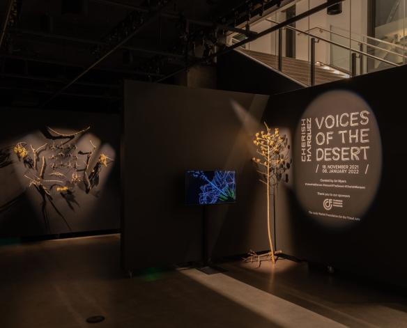 Voice of the Desert