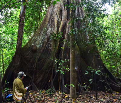 Timothy Weaver in the Amazon
