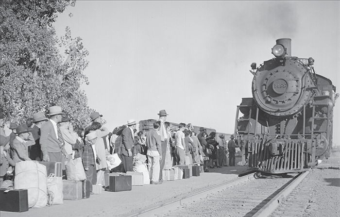 train